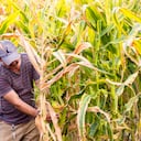 Unidad de Planificación Rural Agropecuaria