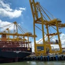 De acuerdo con Invest Pacific, el Puerto de Buenaventura mueve el 44 % del Comercio Exterior de Colombia. Además, destaca a la región como origen del 12 % de los bienes no mineros, es decir, todos aquellos productos agropecuarios, agroindustriales e industriales.