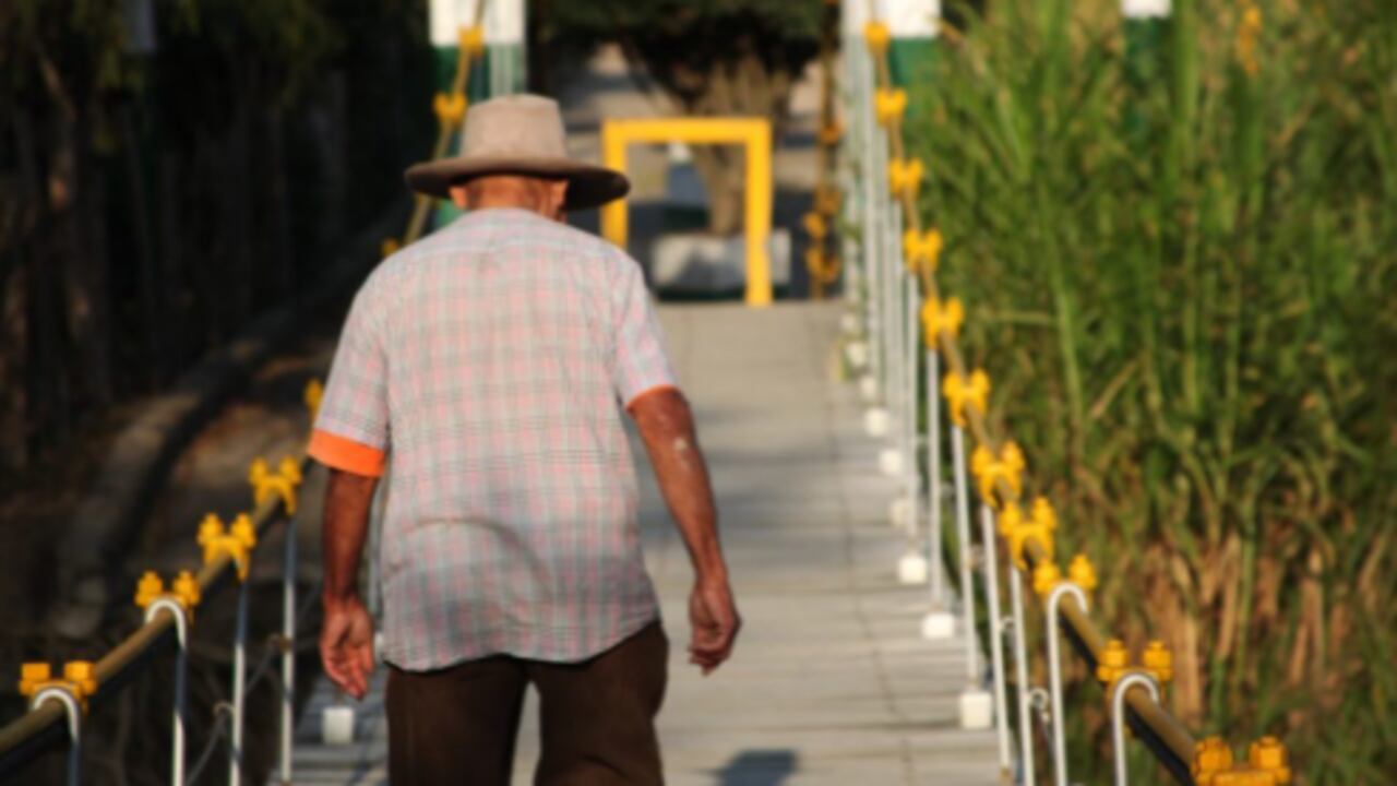Puente colgante y río Teatinos en Jenesano, Boyacá