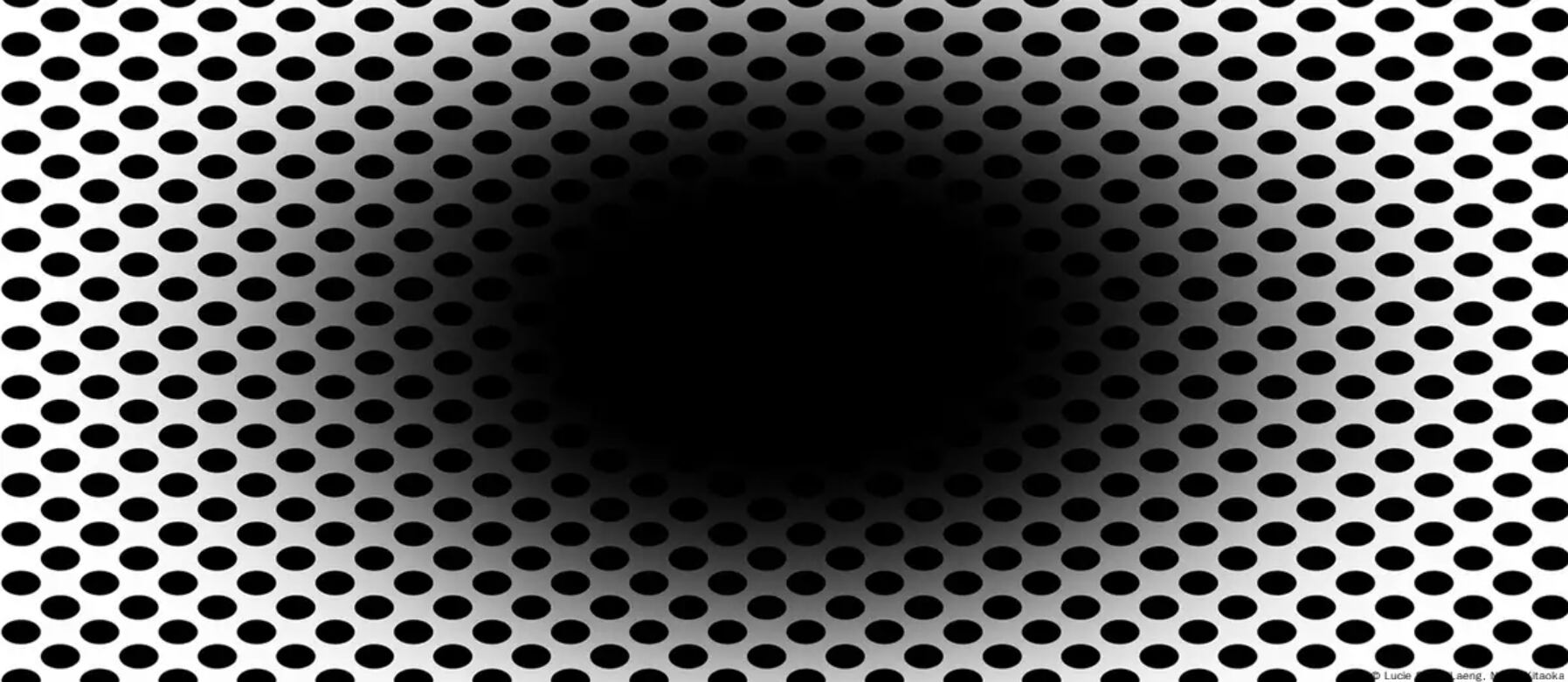 La ilusión del agujero negro en expansión se origina en la retina, no en interpretaciones cerebrales.