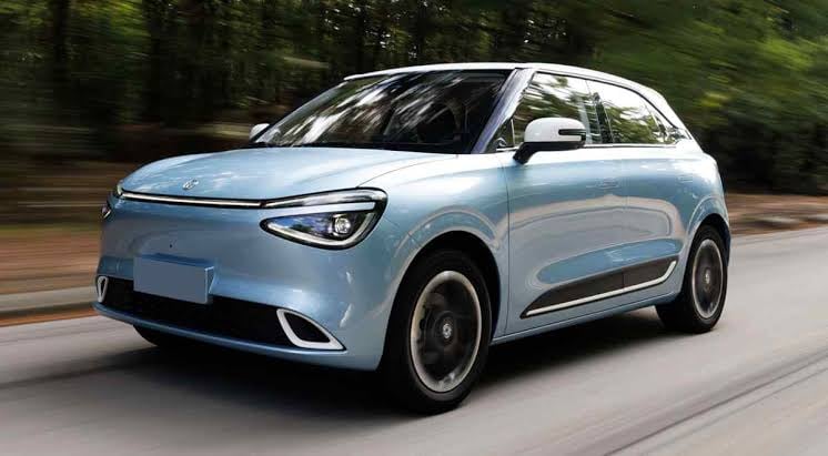 Dongfeng Fox