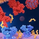 El coronavirus utiliza proteínas especiales para entrar a nuestro cuerpo.