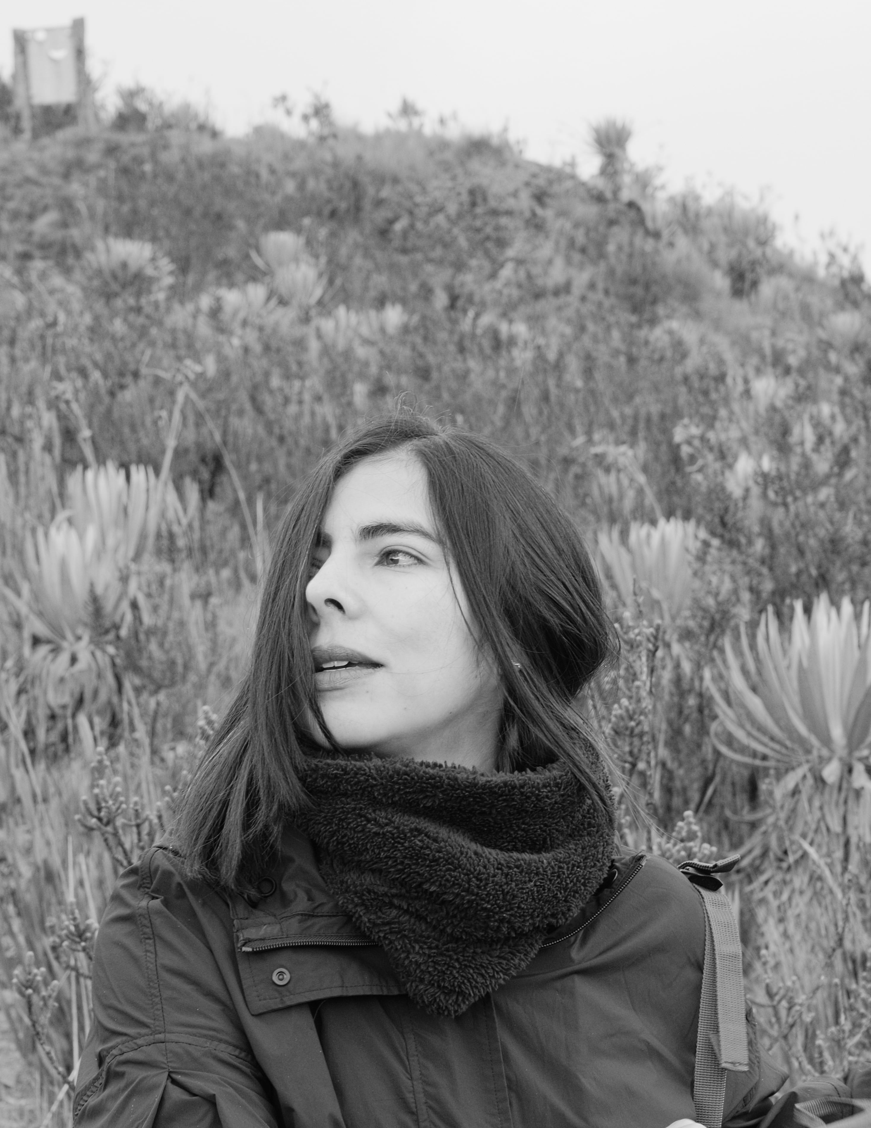 Gerente y productora ejecutiva en Rhayuela Films, Catherine Villareal es productora colombiana con más de 30 años de trayectoria y presencia activa en coproducción en Latinoamérica, Europa y Estados Unidos; casa de proyectos como Rebelión, Alias María y El Páramo.