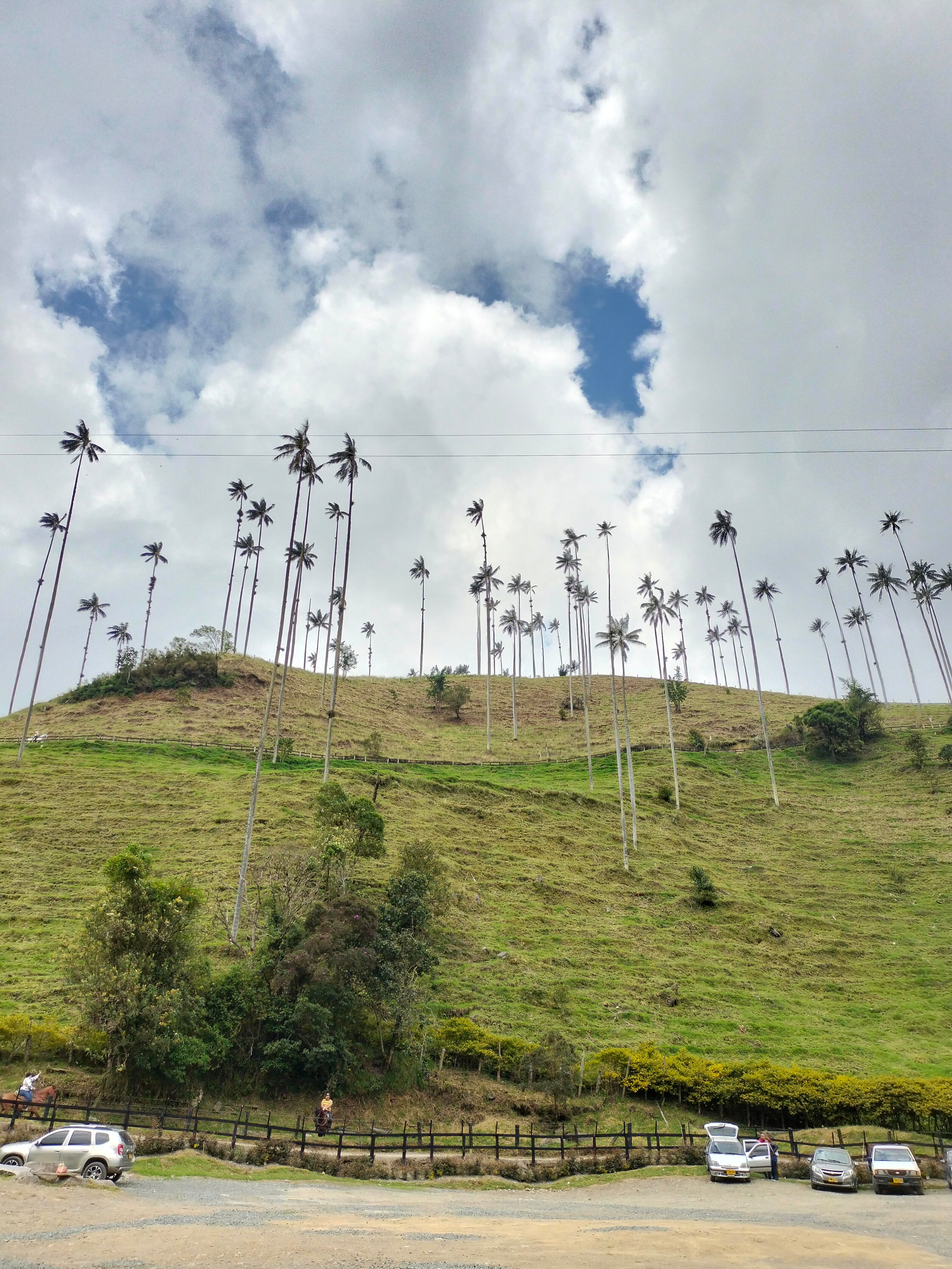 Vista al valle de Cocora / Revista SoHo