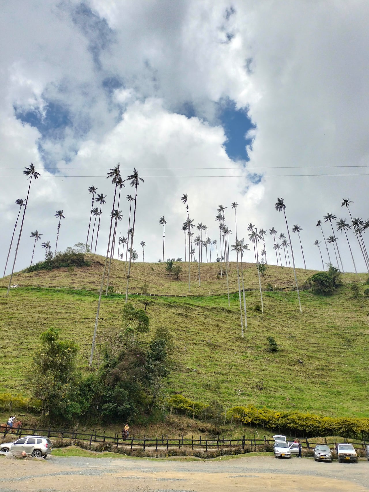 Vista al valle de Cocora / Revista SoHo