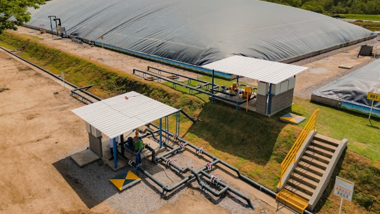 Primera planta de generación de energía en el Cesar a través de Biogás
