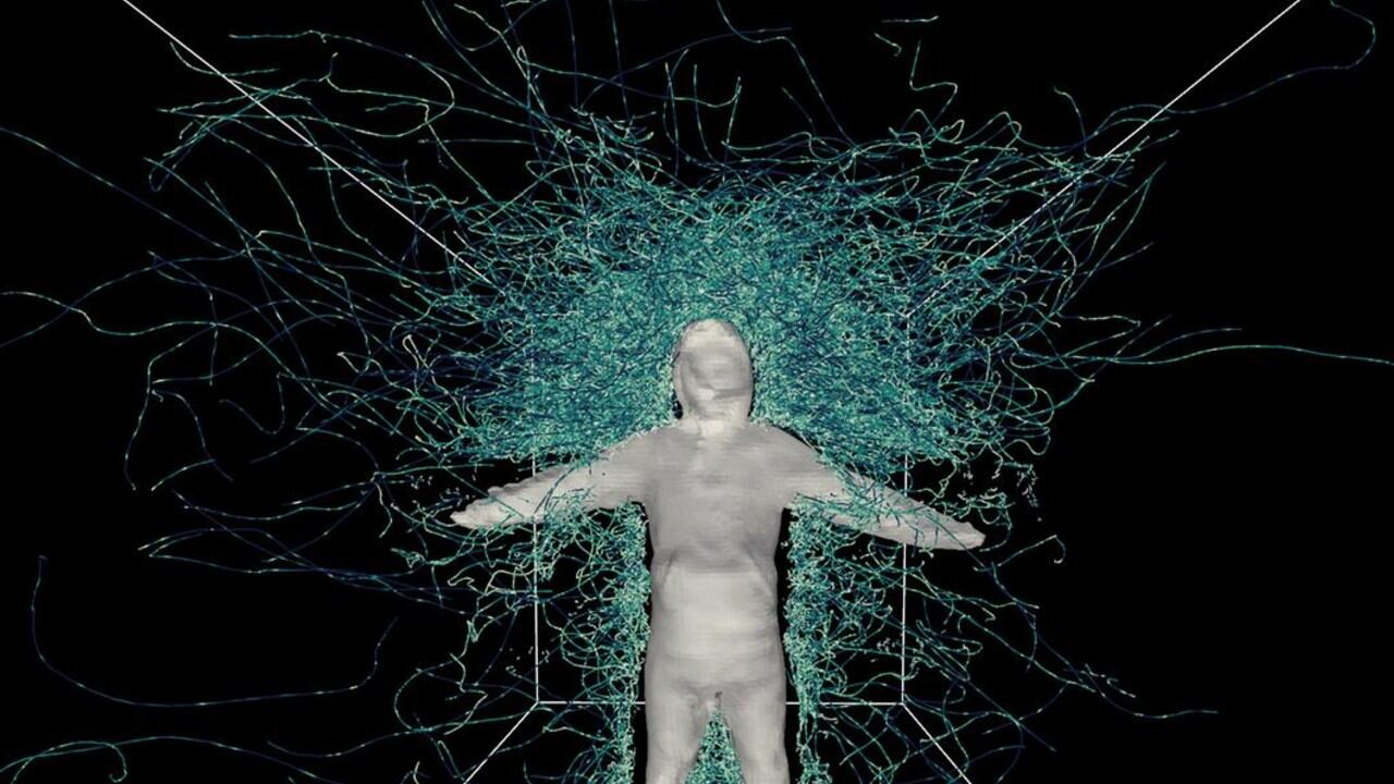 El modelo matemático desarrollado por los investigadores predice hacia dónde vuela el mosquito hembra en busca de sangre humana.