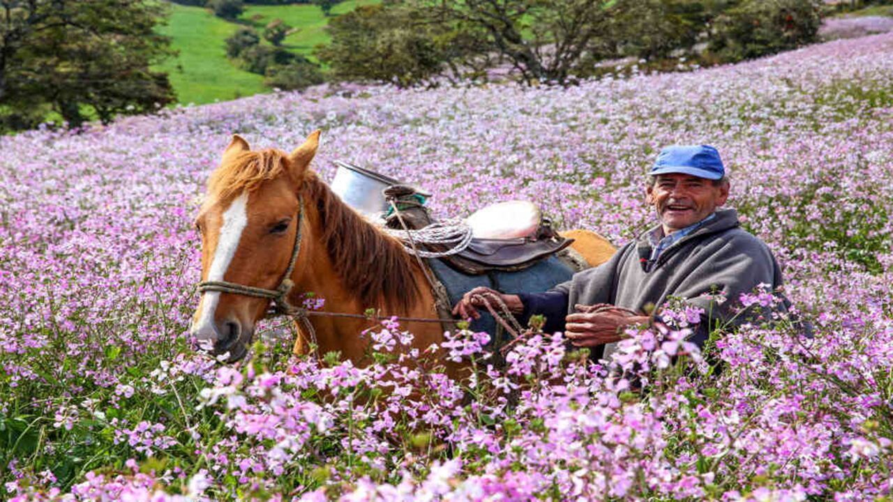 Los campesinos están listos para ocupar las tierras que una vez les quitaron.