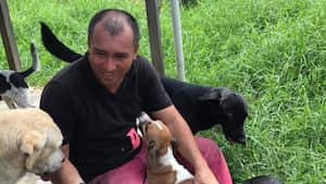 En cualquier momento, los animales podrían ser desalojados del albergue.