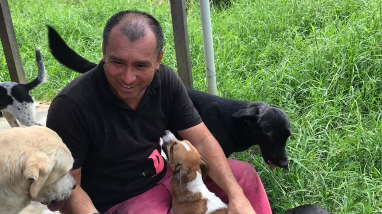 Los rescatistas están pidiendo apoyo para agilizar las adopciones.