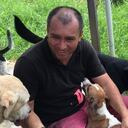 En cualquier momento, los animales podrían ser desalojados del albergue.