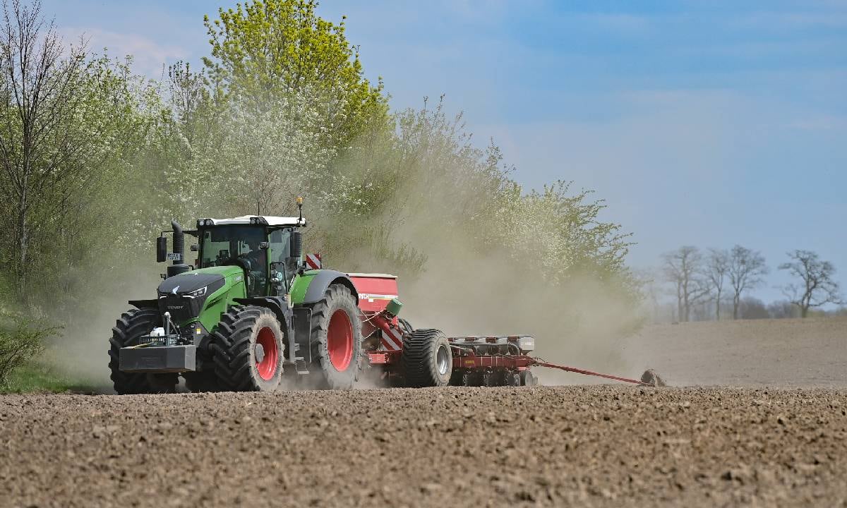 Alarmante cifra de deforestación en el mundo durante 2021