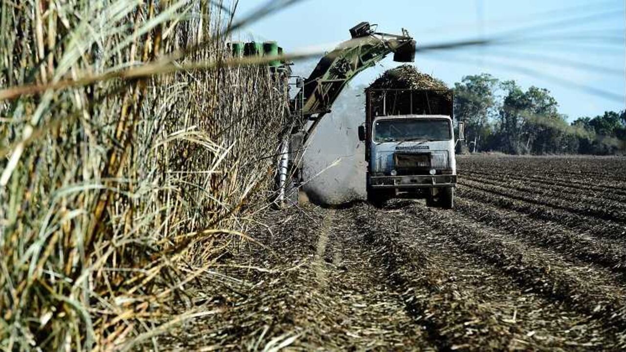 La Superintendencia de Industria y Comercio encontró evidencias de obstrucción a importaciones e impuso una multa de $324.441 millones