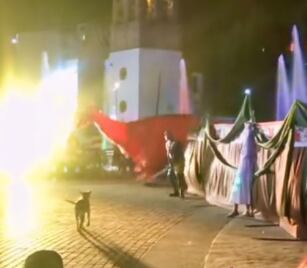 Además de hacerle frente al dragón, el perro también encaró al caballero.