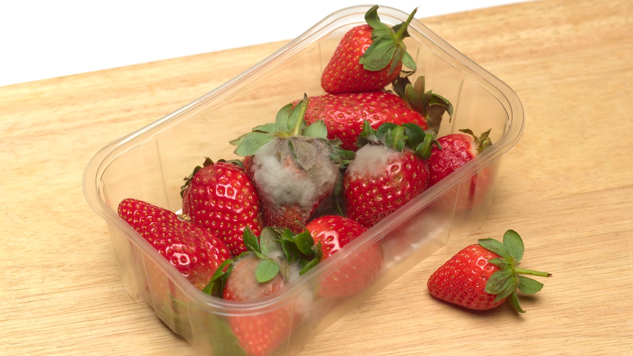 Esto le pasa a nuestro cuerpo si comemos alimentos con moho