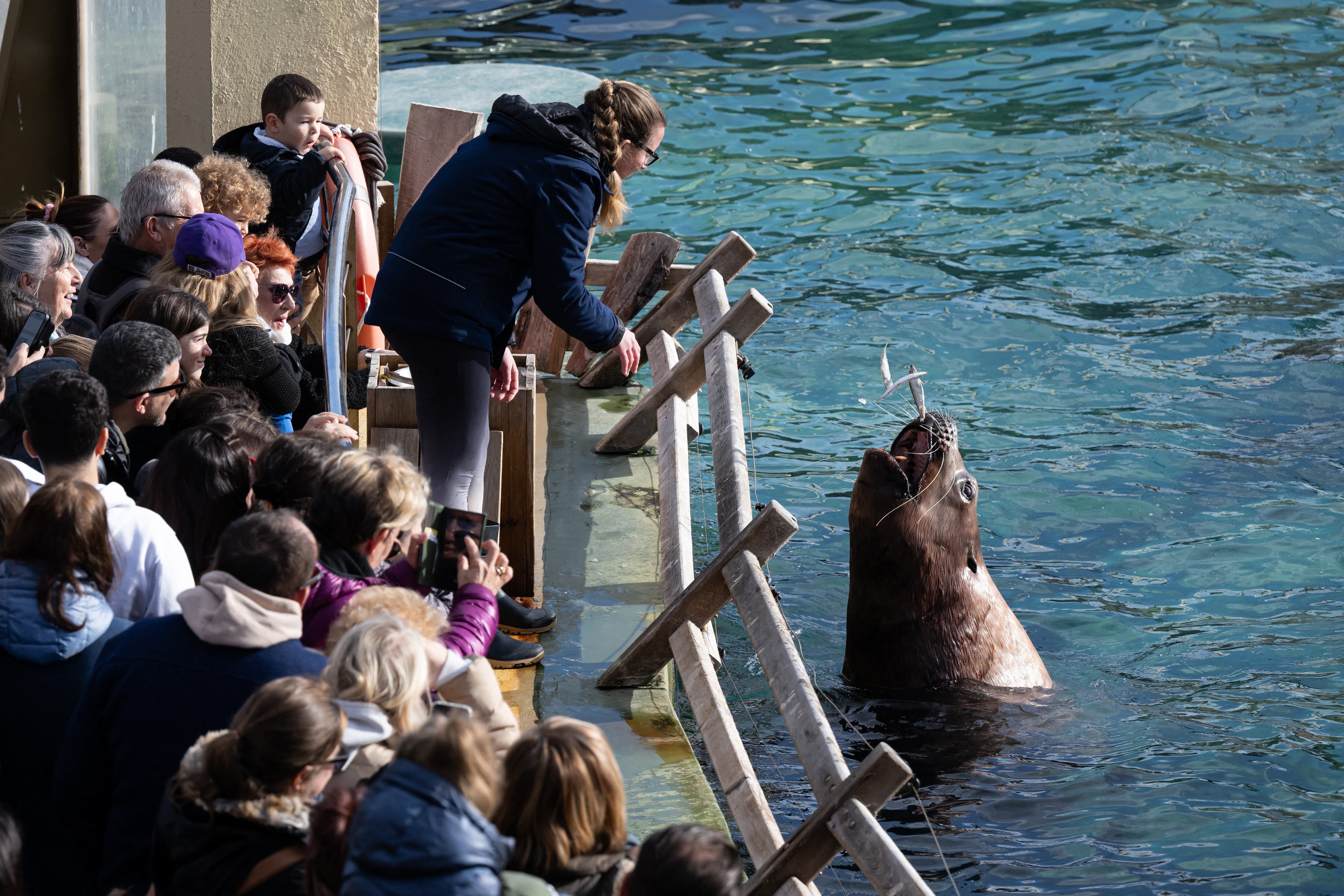 Parque marino Marineland Antibes de Francia cierra sus puertas: era el más grande de Europa: conozca los motivos de la decisión