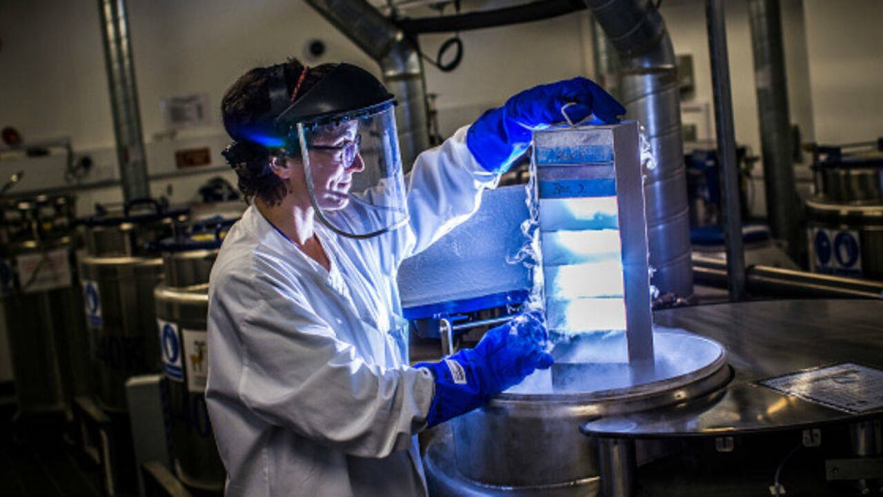 Foto: Ciencia/Getty