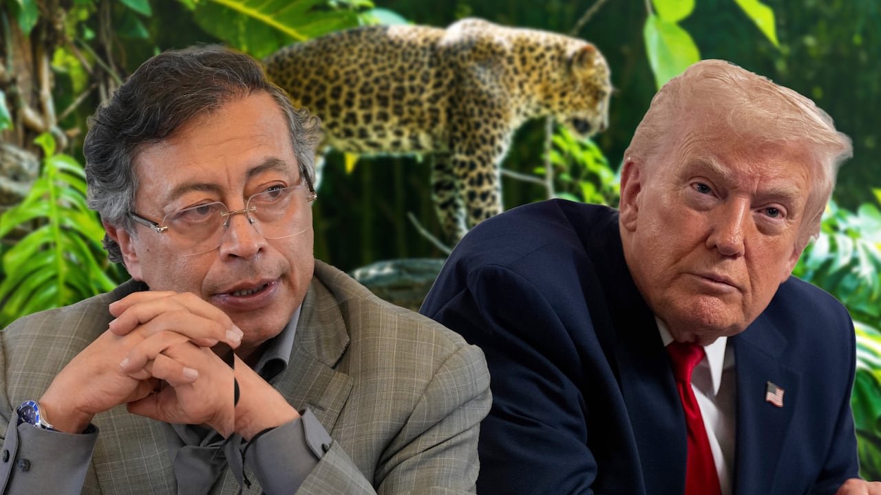 Gustavo Petro, Donald Trump