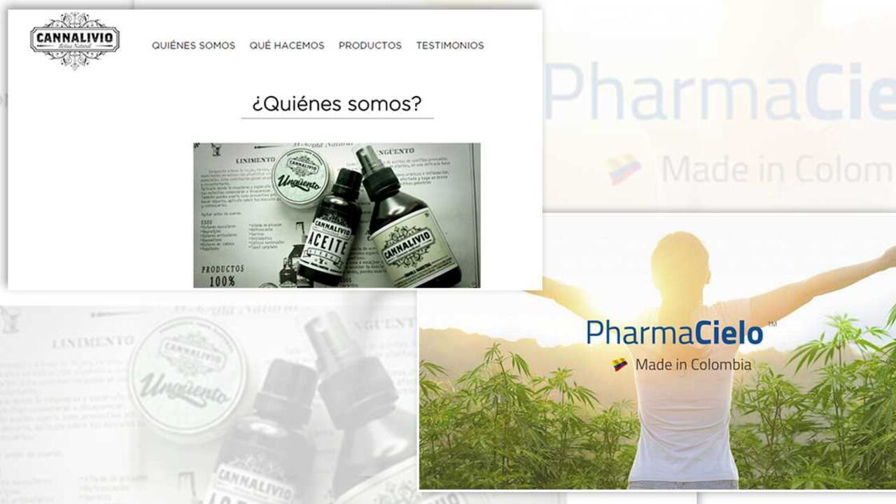 Pharmacielo presentaría una solicitud ante el Consejo Nacional de Estupefacientes para que le autorice la siembra de una primera plantación de marihuana.