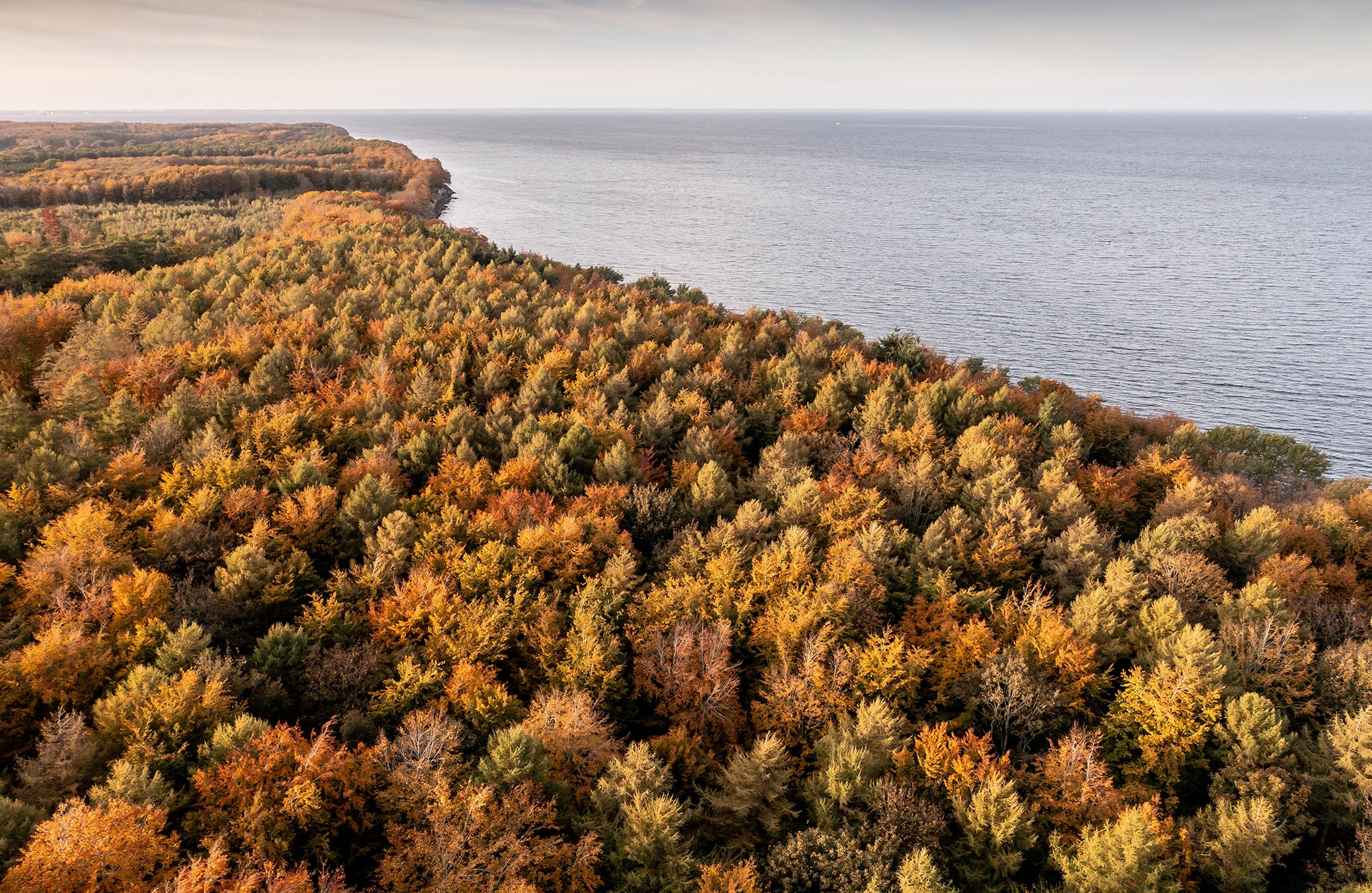 Espectaculares colores de otoño en todo el mundo.