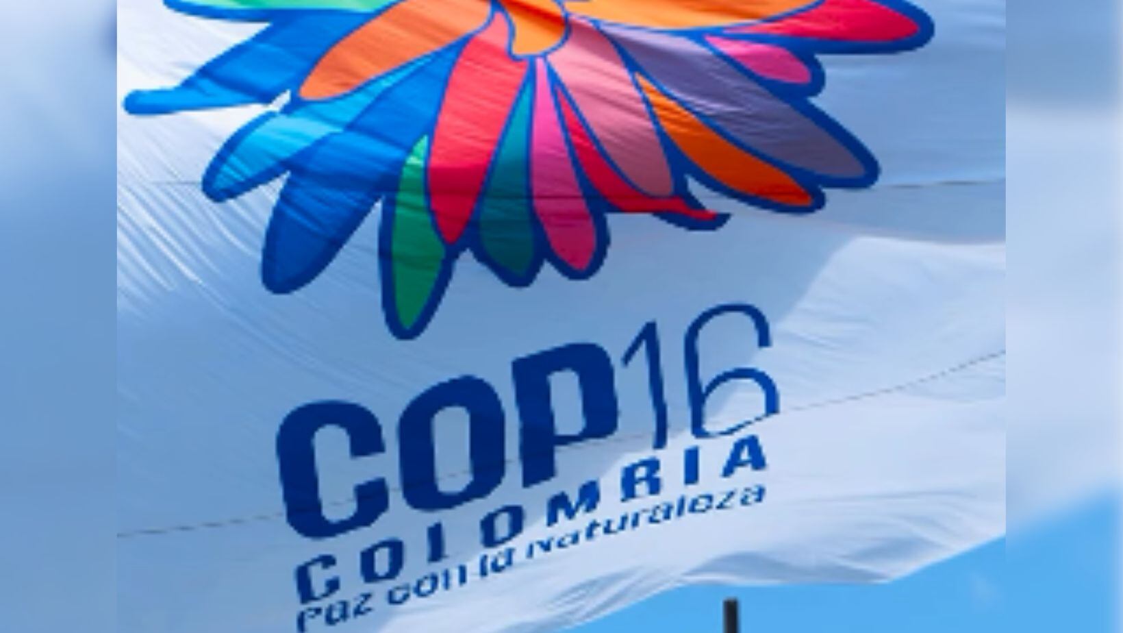 COP16 en Cali: así puede asegurar su participación en este importante evento
