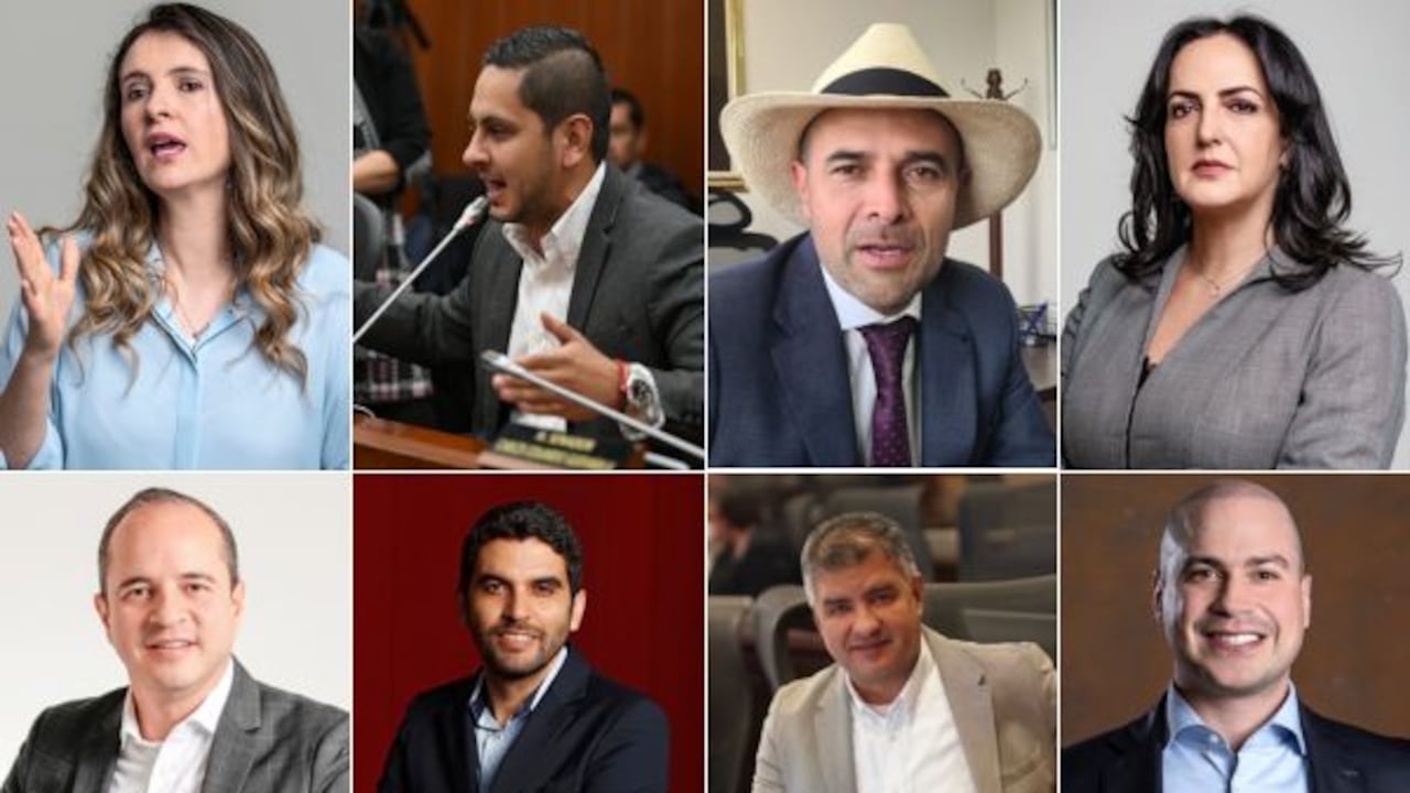 Congresistas Paloma Valencia, Esteban Quintero, Andrés Guerra, María Fernanda Cabal, Juan Espinal, Hernán Cadavid, John Jairo Berrío y Julián Peinado.