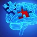 El Alzheimer es una enfermedad cerebral que afecta la memoria, el pensamiento, el carácter o la manera de comportarse.