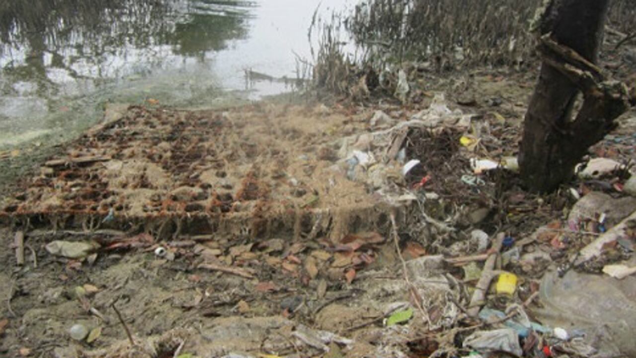 Basura en la ciénaga.