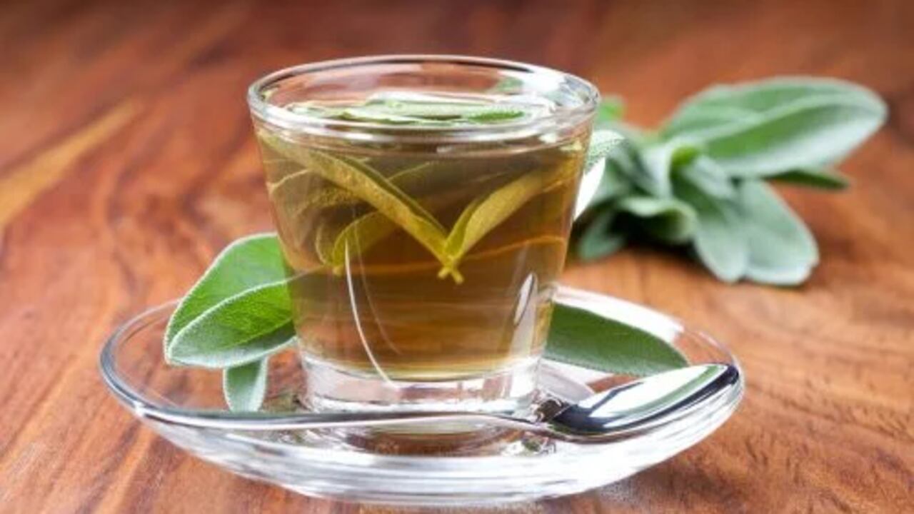 La salvia, cuyo nombre científico es Salvia officinalis, posee efecto hipoglucemiante, ayudando a disminuir el azúcar en la sangre