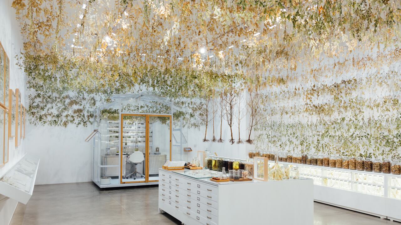 Hasta el 16 de febrero de 2025, Khoka Project formará parte de las exposiciones temporales del Museo de Arte Moderno de Medellín.