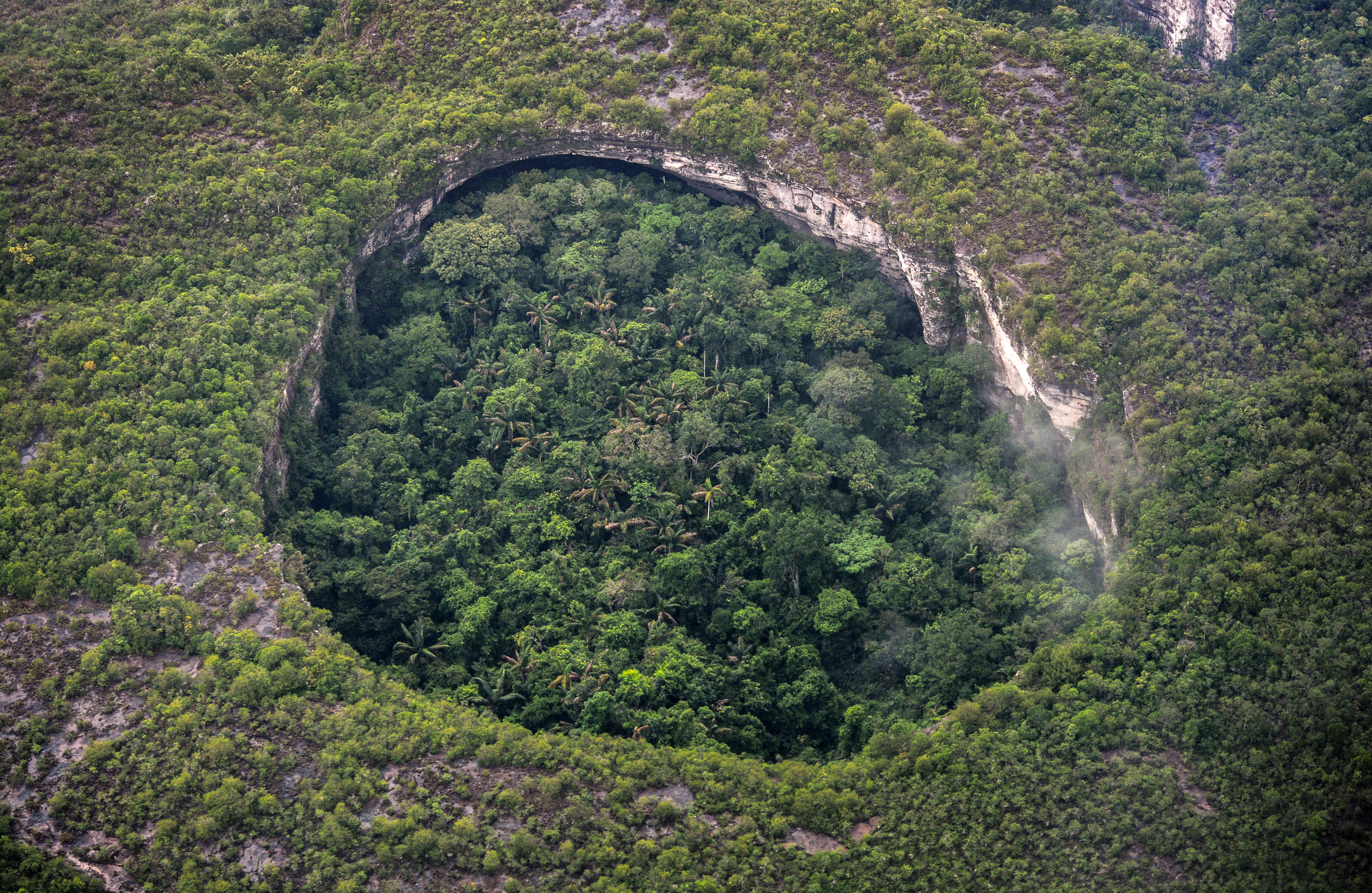 Su extensión es tres veces la del Serengueti, el parque natural más emblemático de África. Foto Fernando Trujillo, Fundación Omacha.