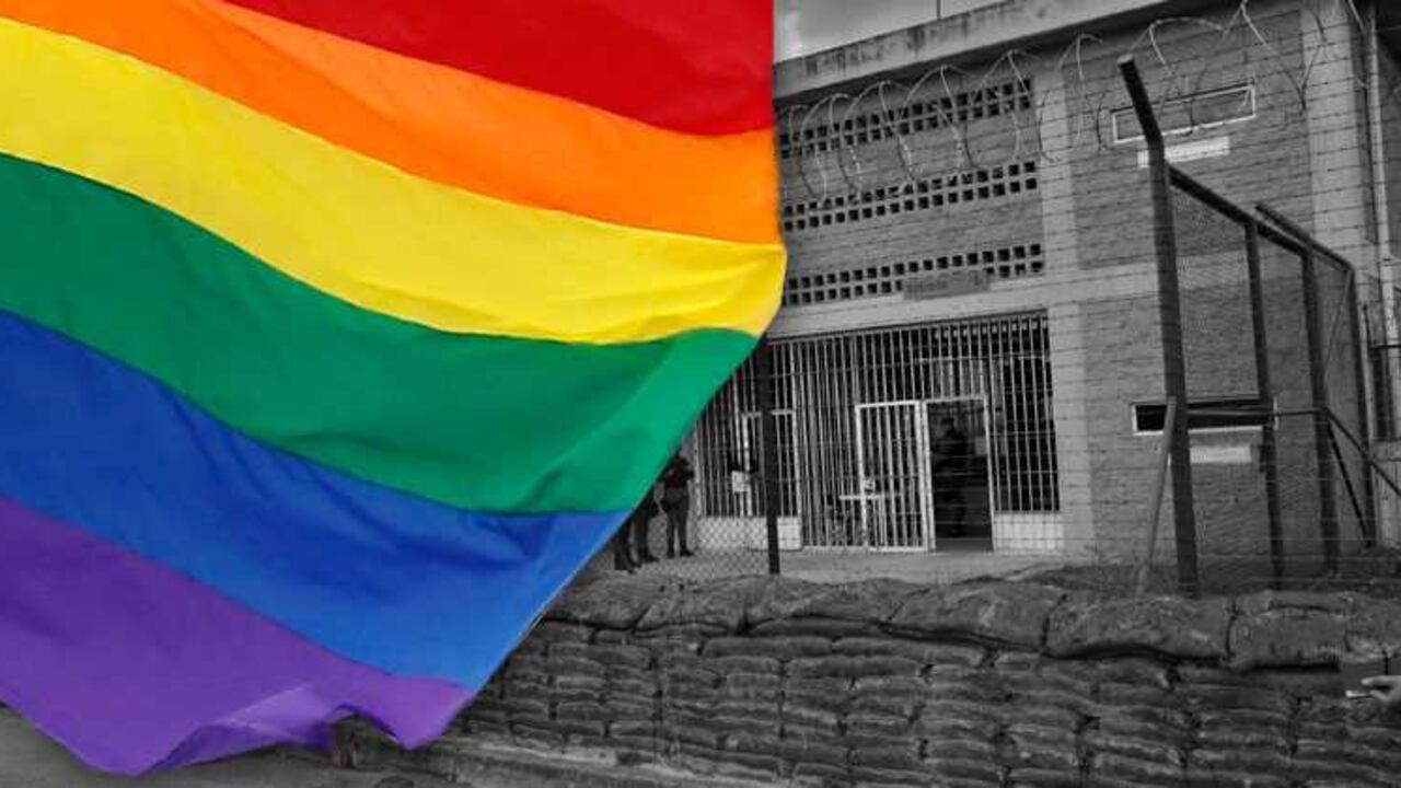 Según el Ministerio de Justicia, en las cárceles del país hay 678 reclusos pertenecientes a la comunidad LGBTI.