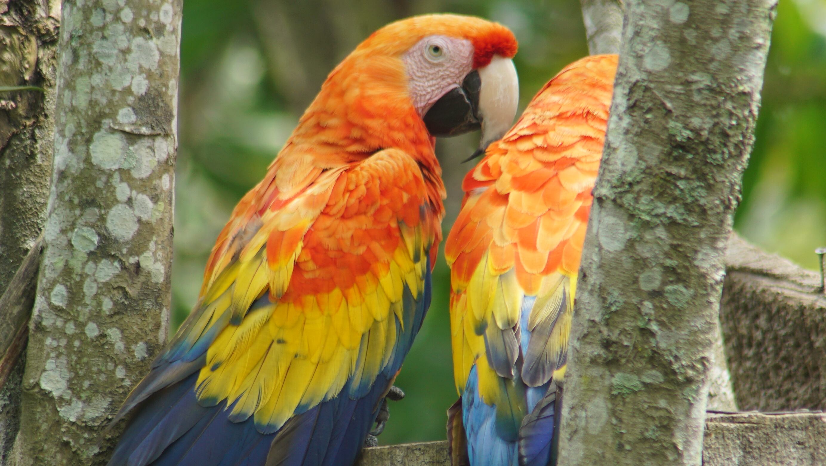 Risaralda, llena de vida