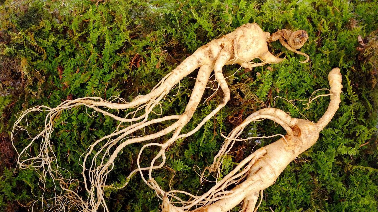 Contiene antioxidantes y antiinflamatorios.