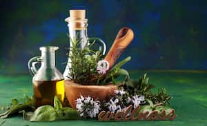 Homegrown and aromatic herbs on rustic background.Set of culinary herbs. Green growing sage, oregano, thyme, basil, mint and oregano.