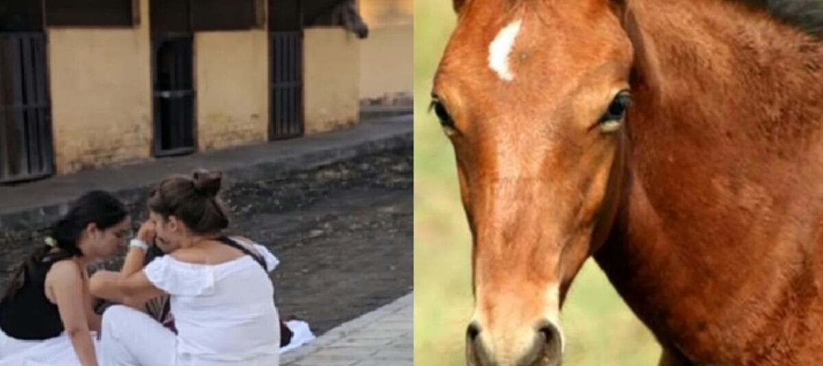 Niña muere al caer de un caballo en Palmira.