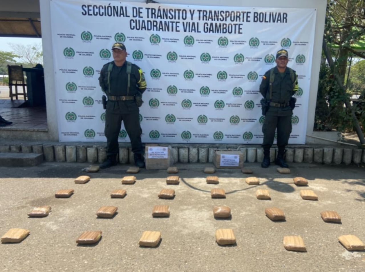 Los paquetes fueron enviados dentro de una caja como una encomienda