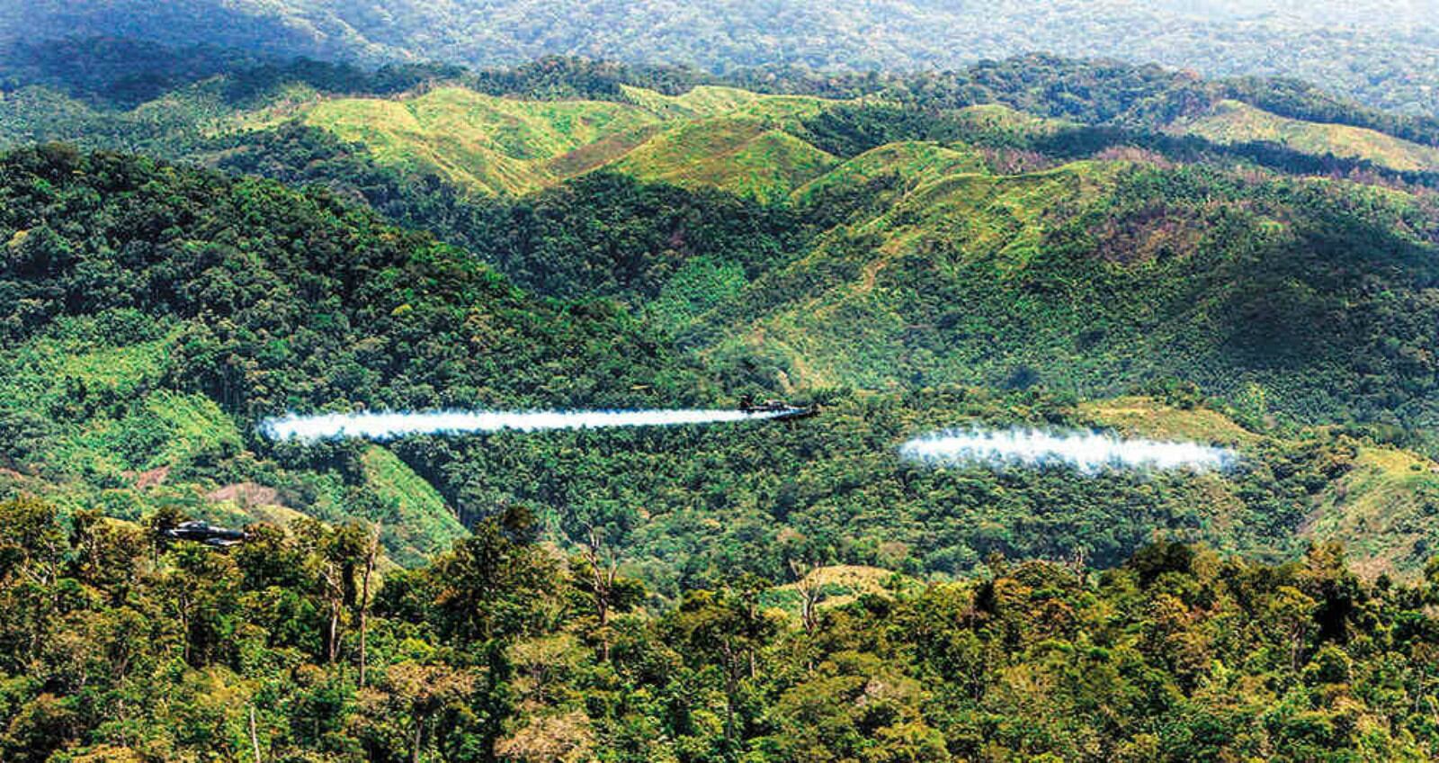 La Corte Constitucional aclaró pero no modificó la sentencia sobre las fumigaciones aéreas con glifosato.