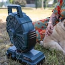 Ocho formas de ayudar a los perros durante una ola de calor.