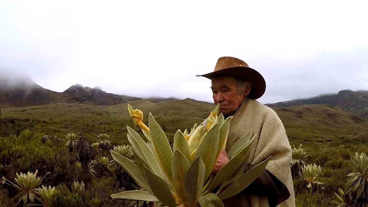 Los campesinos se comprometieron a no ampliar la frontera agrícola en los predios que fueron destinados a la conservación. Foto: Darlin Bejarano.