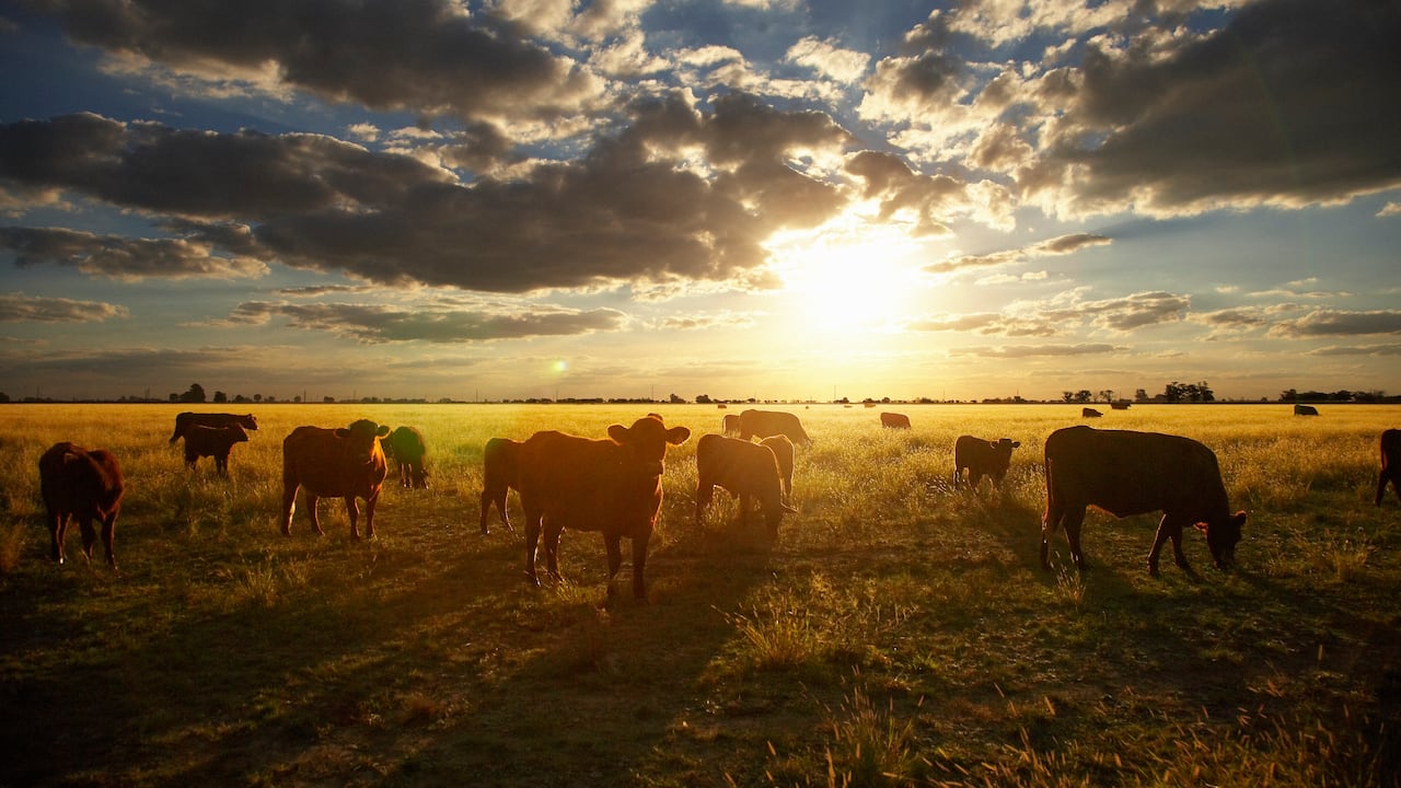 La entidad habló de la probabilidad que hay de un fenómeno de El Niño en el país.