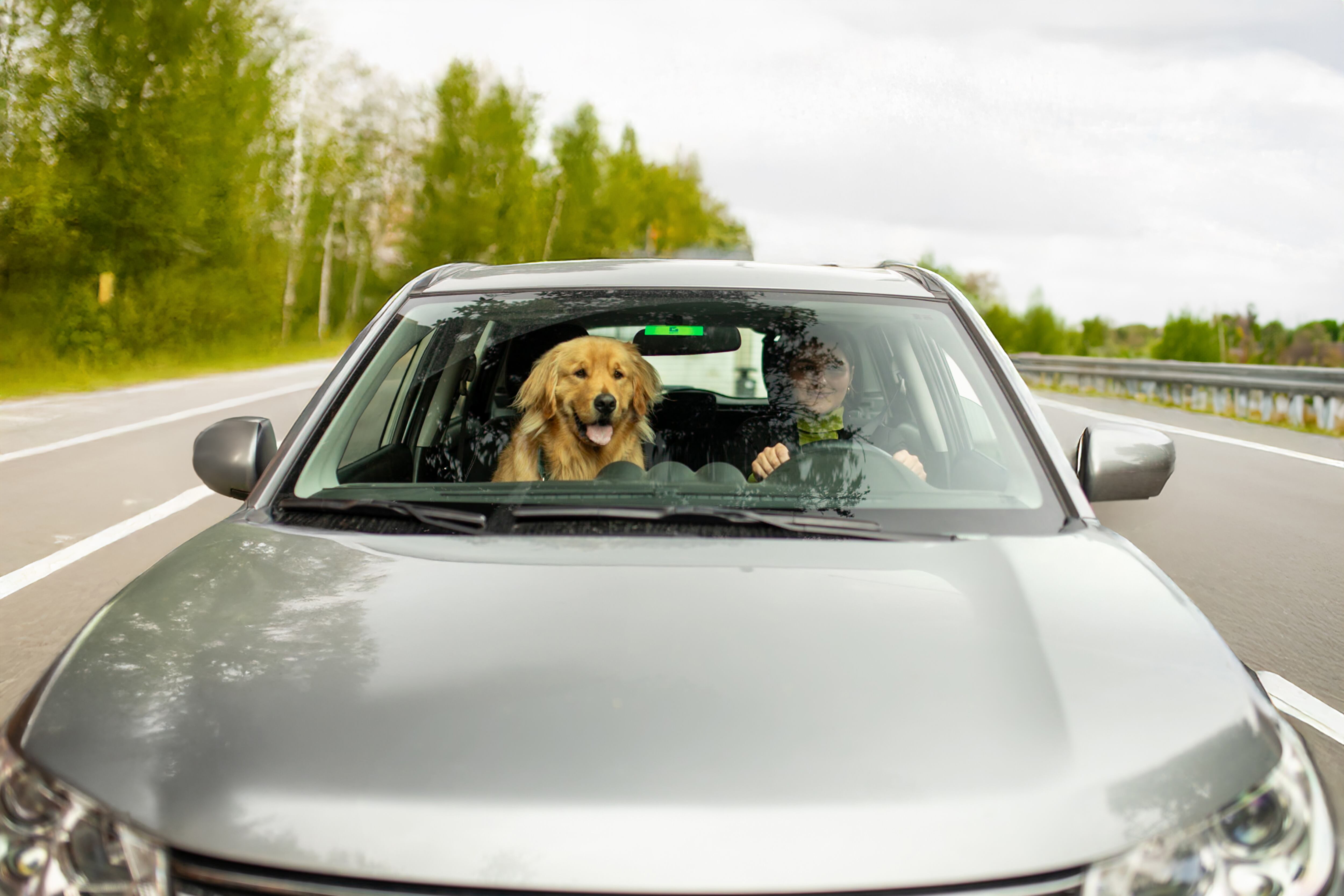 Especial Transporte y Movilidad Mejor Colombia