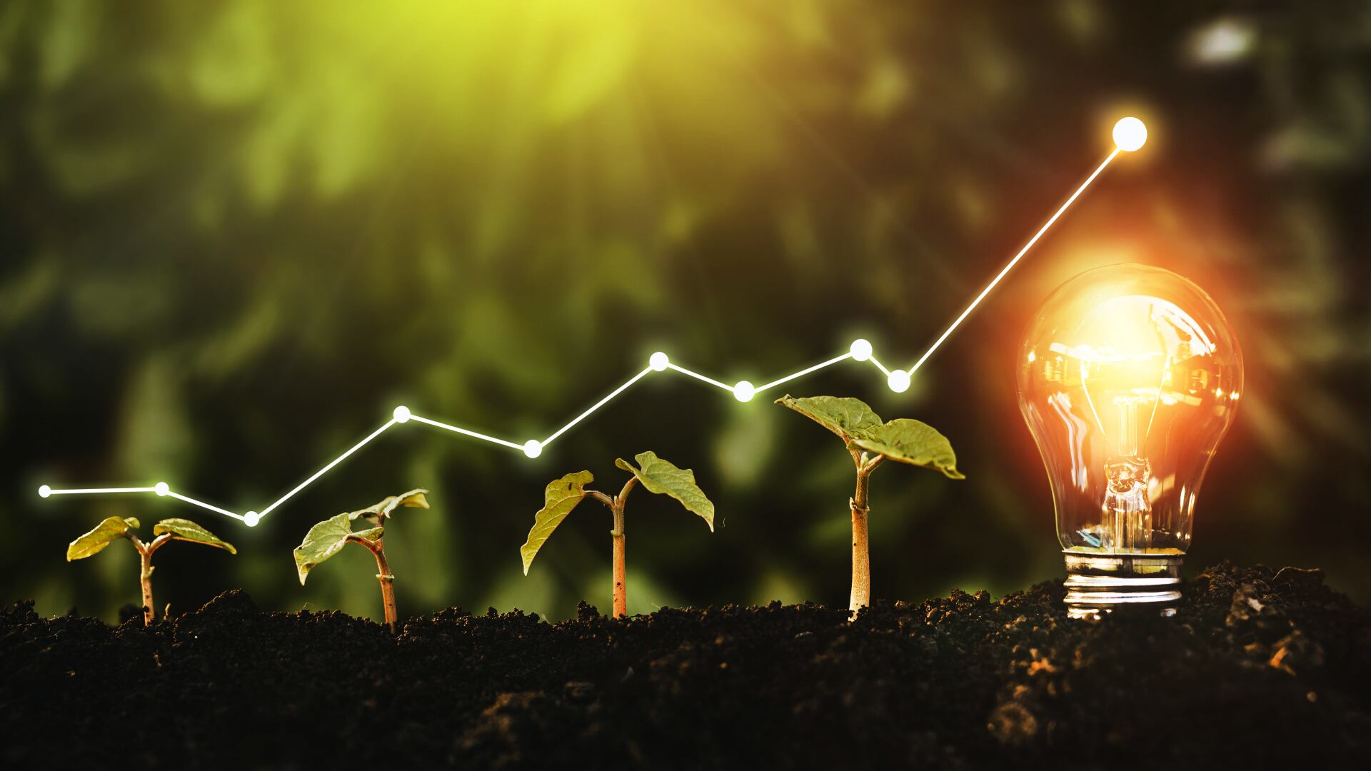 Con ese objetivo, la entidad estableció este año un convenio con el Instituto Colombiano de Normas Técnicas y Certificación (ICONTEC) para crear un programa de reconocimiento empresarial