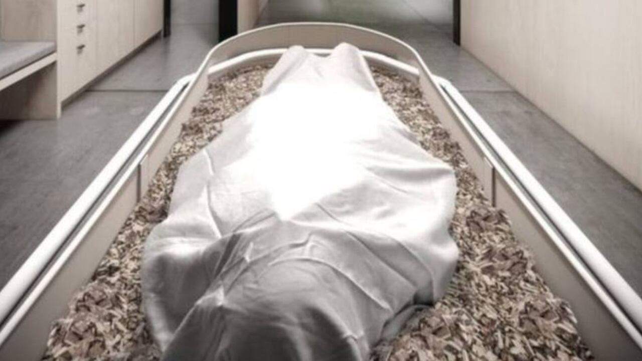 El proceso permite ahorrar más de una tonelada de carbono, en comparación con las cremaciones o los entierros tradicionales.