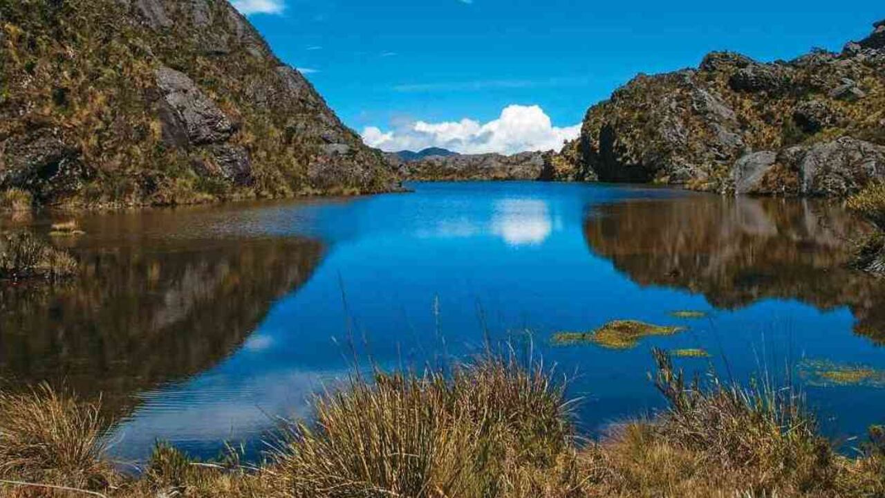 El páramo de Santurbán cobija 20 municipios de Norte de Santander y otros 8 de Santander. Foto: archivo/Semana.