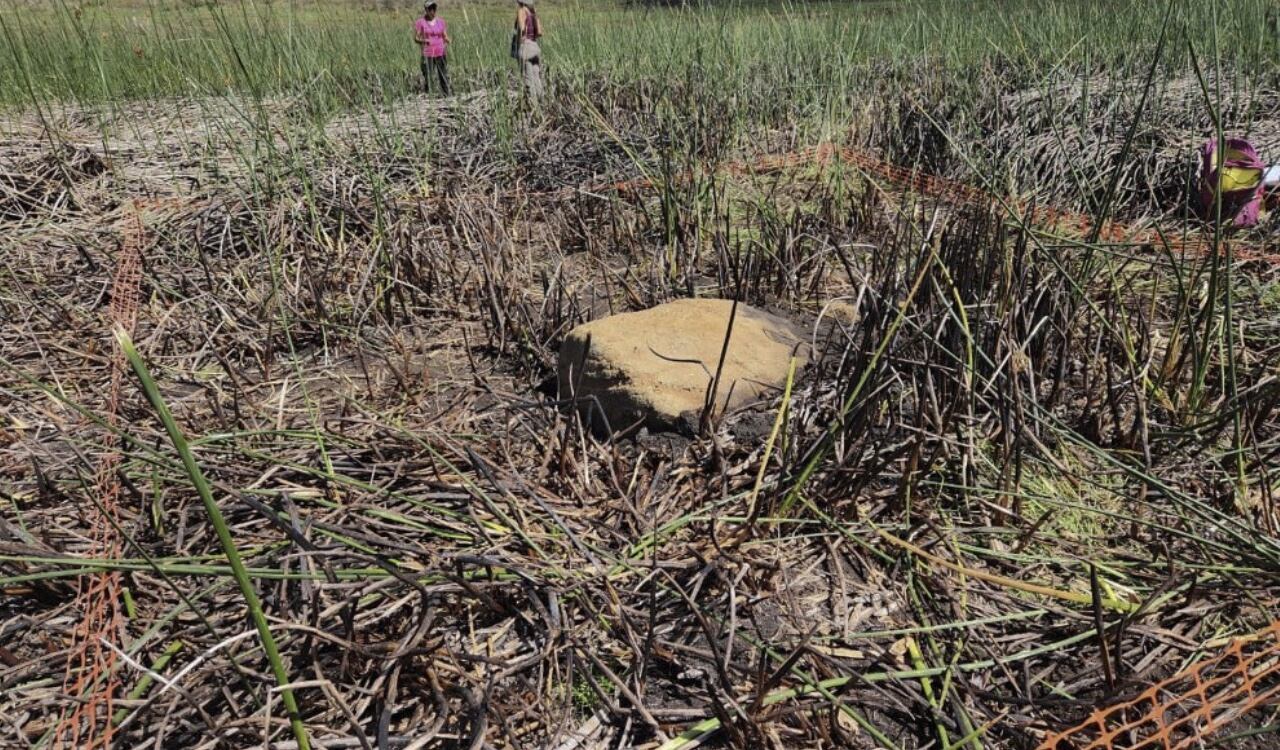 El moái fue descubierto el 21 de febrero por un equipo de voluntarios científicos de tres universidades chilenas
