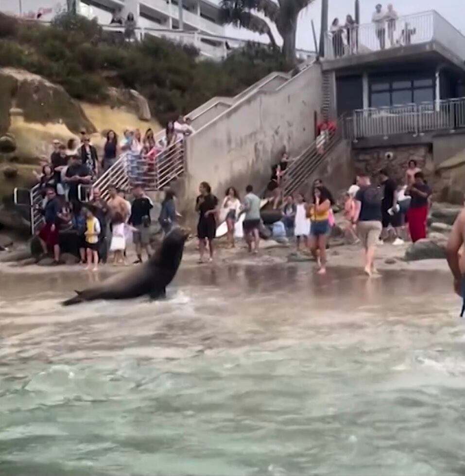 Foto: Captura de pantalla video Japhet Pérez Estrada.