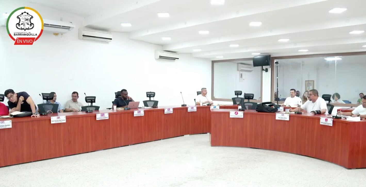 Sesión del Concejo, sábado 20 de enero.