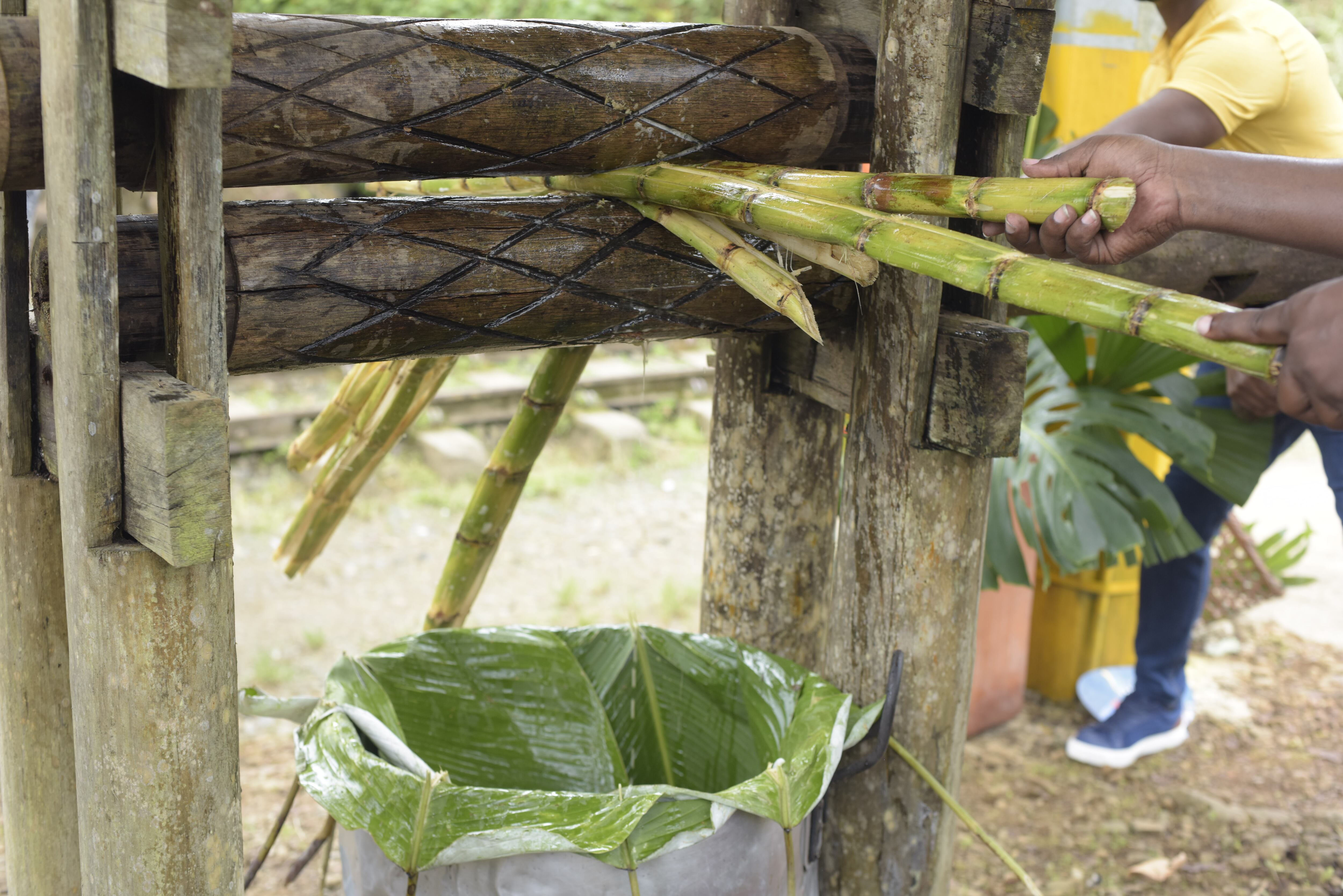 Molino conocido como 'mata cuatro' en el que se extrae el jugo de caña de azúcar que posteriormente se usa para el viche. Foto: MinCultura