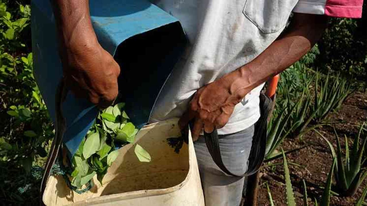 Los municipios más golpeados por el conflicto aumentaron 12,7% el uso del sistema financiero en los últimos tres años.